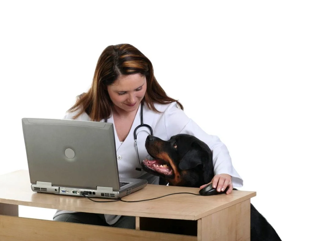 évaluation comportementale rottweiler