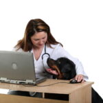 évaluation comportementale rottweiler