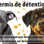 permis de détention de chien catégorisé à bordeaux