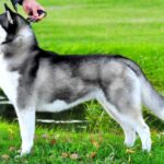 Really girl of cool water