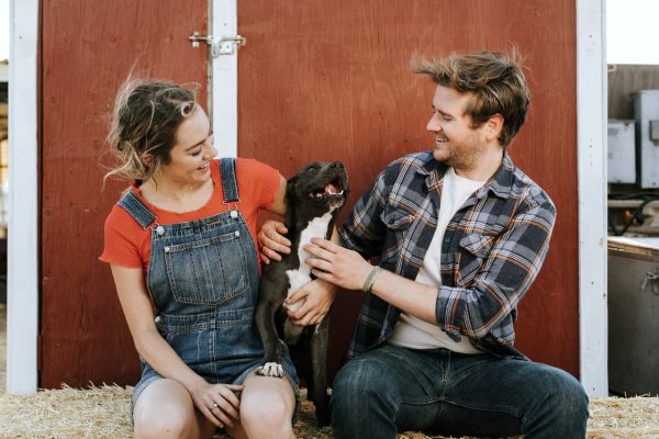 Le pitbull de l'affaire Curtis femme tuée par pitbull