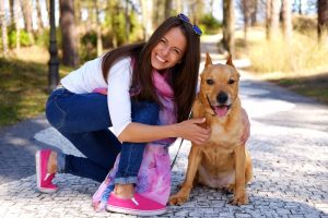 formation chien categorisé gironde