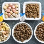 top 10 des meilleures croquettes