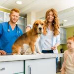 mutuelle pour chien