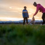 éducation du chien renforcement positif