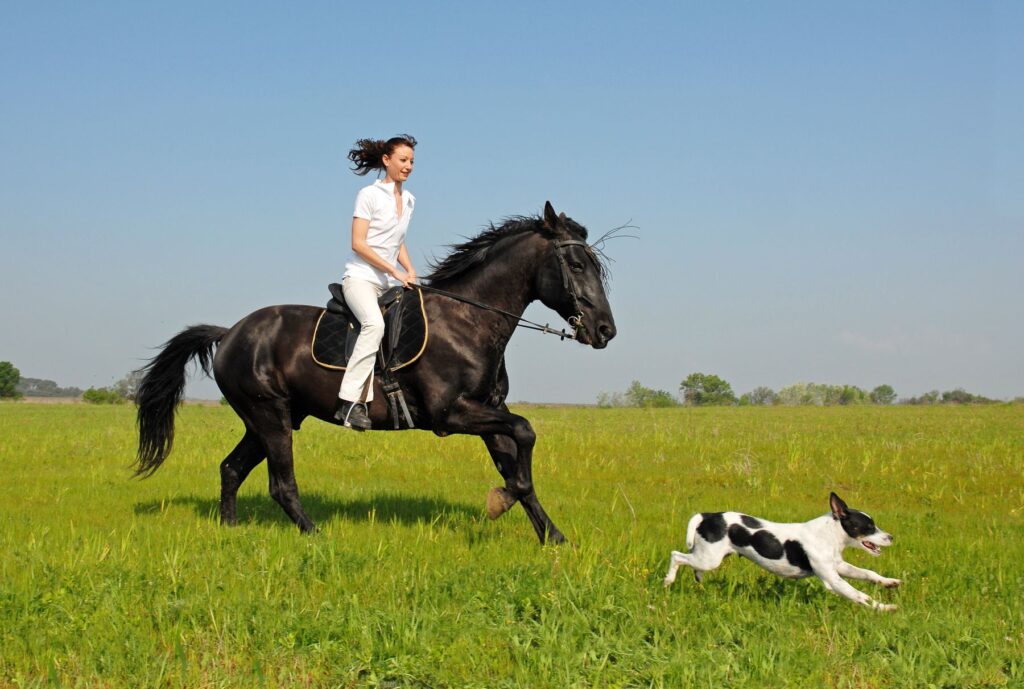 courrir avec son chien et son cheval