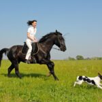 courrir avec son chien et son cheval