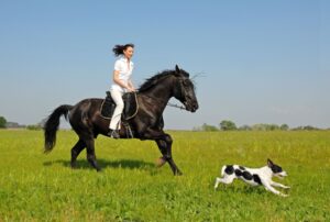 courrir avec son chien et son cheval