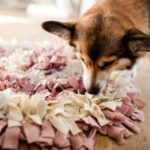 tapis de fouille pour chien