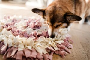 tapis de fouille pour chien