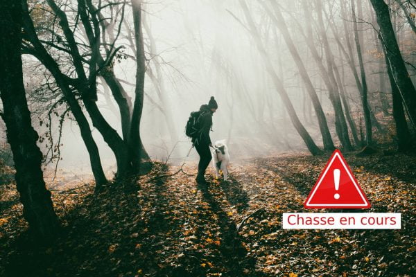 promenade en foret avec son chien et la chasse