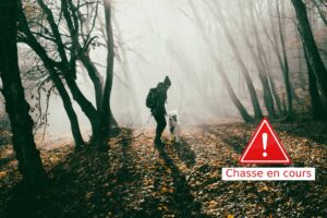 promenade en foret avec son chien et la chasse