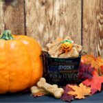 biscuit a faire pour son chien en automne