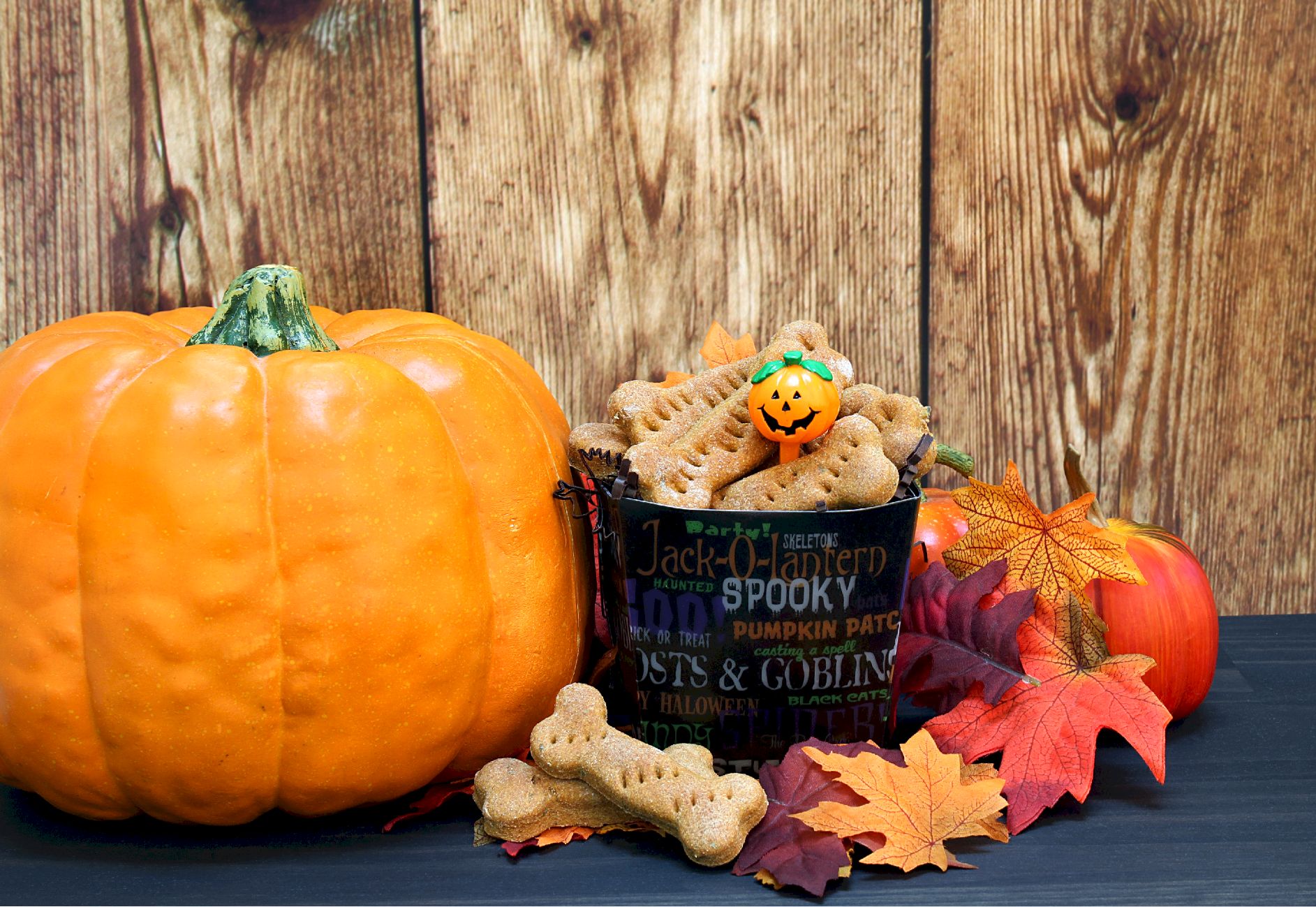 biscuit a faire pour son chien en automne