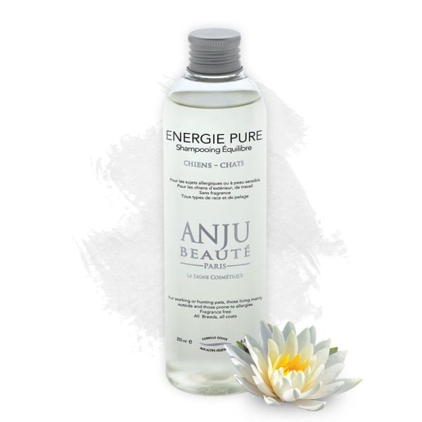 Shampoing sans odeurs Anju beauté énergie pure