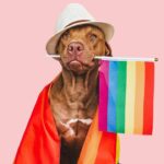 chien lgbt