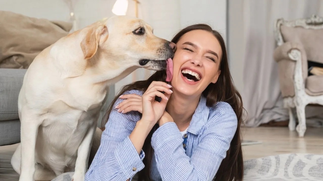 chien qui lèche sa maitresse