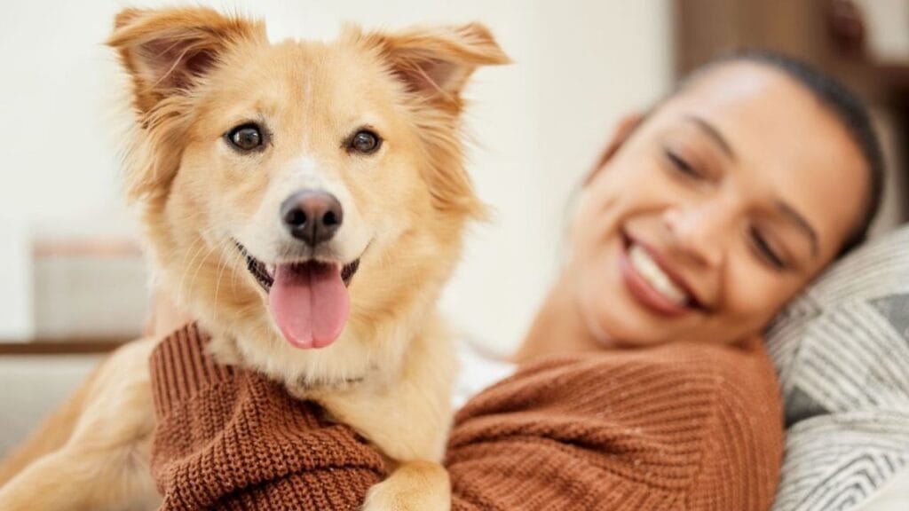doga avec son chien
