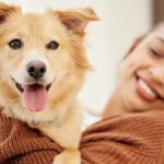 doga avec son chien