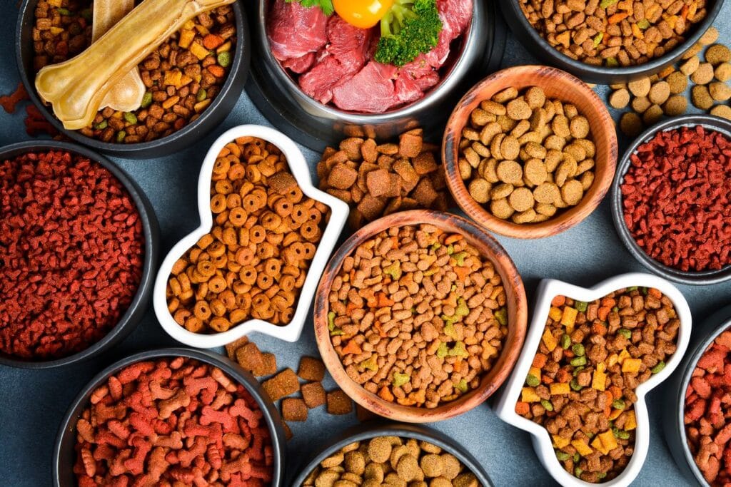 choisir les meilleures croquettes pour chien