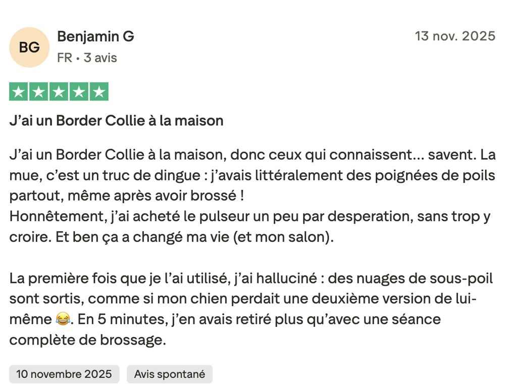 Avis Trustpilot Benjamin Border Collie